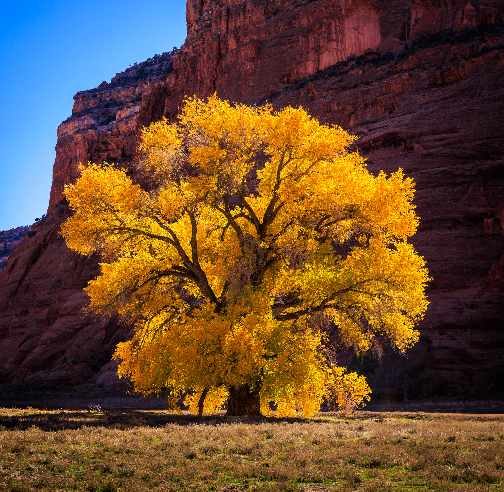 Canyon de Chelly floor color