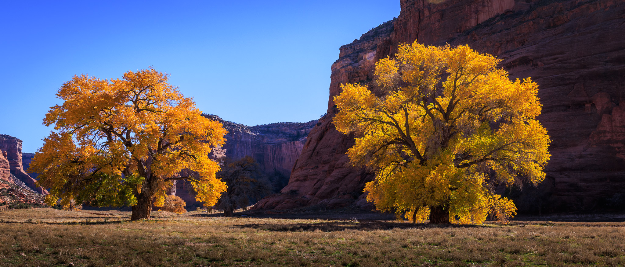 Canyon de Chelly floor color