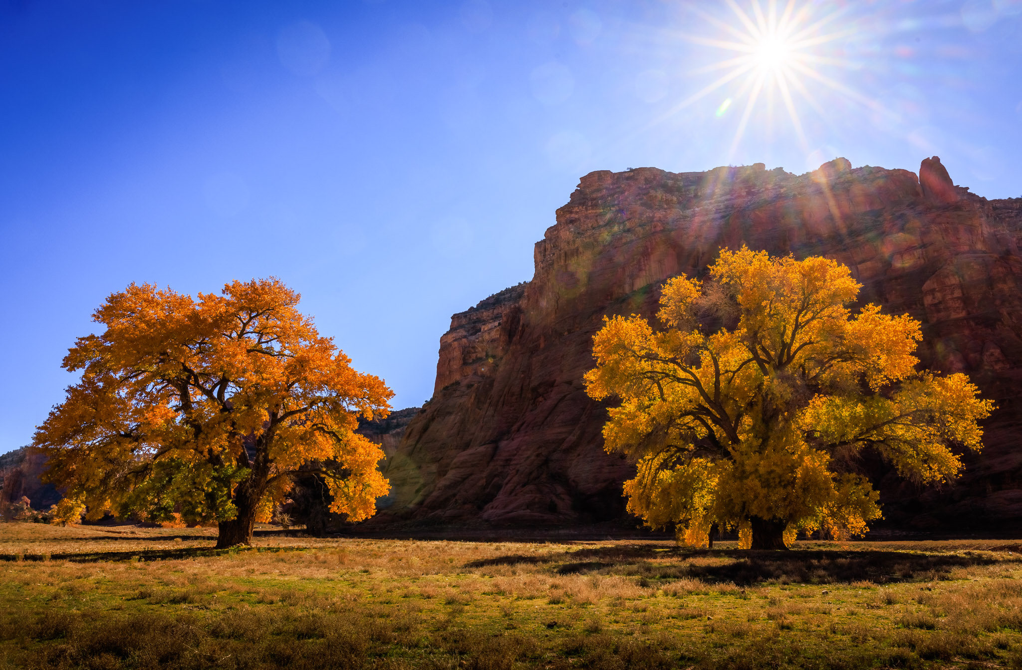 Canyon floor color