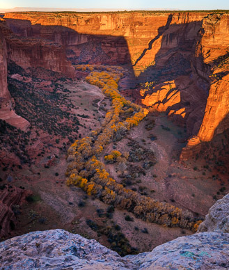 Cottonwood color from Spyder Rock Overlook