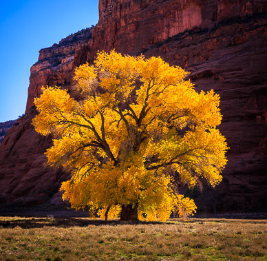 Canyon de Chelly floor color