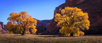 Canyon de Chelly floor color