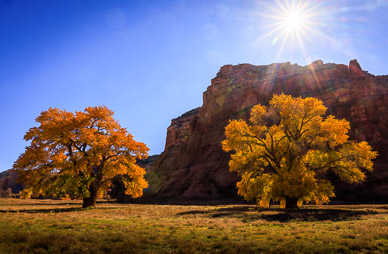 Canyon floor color