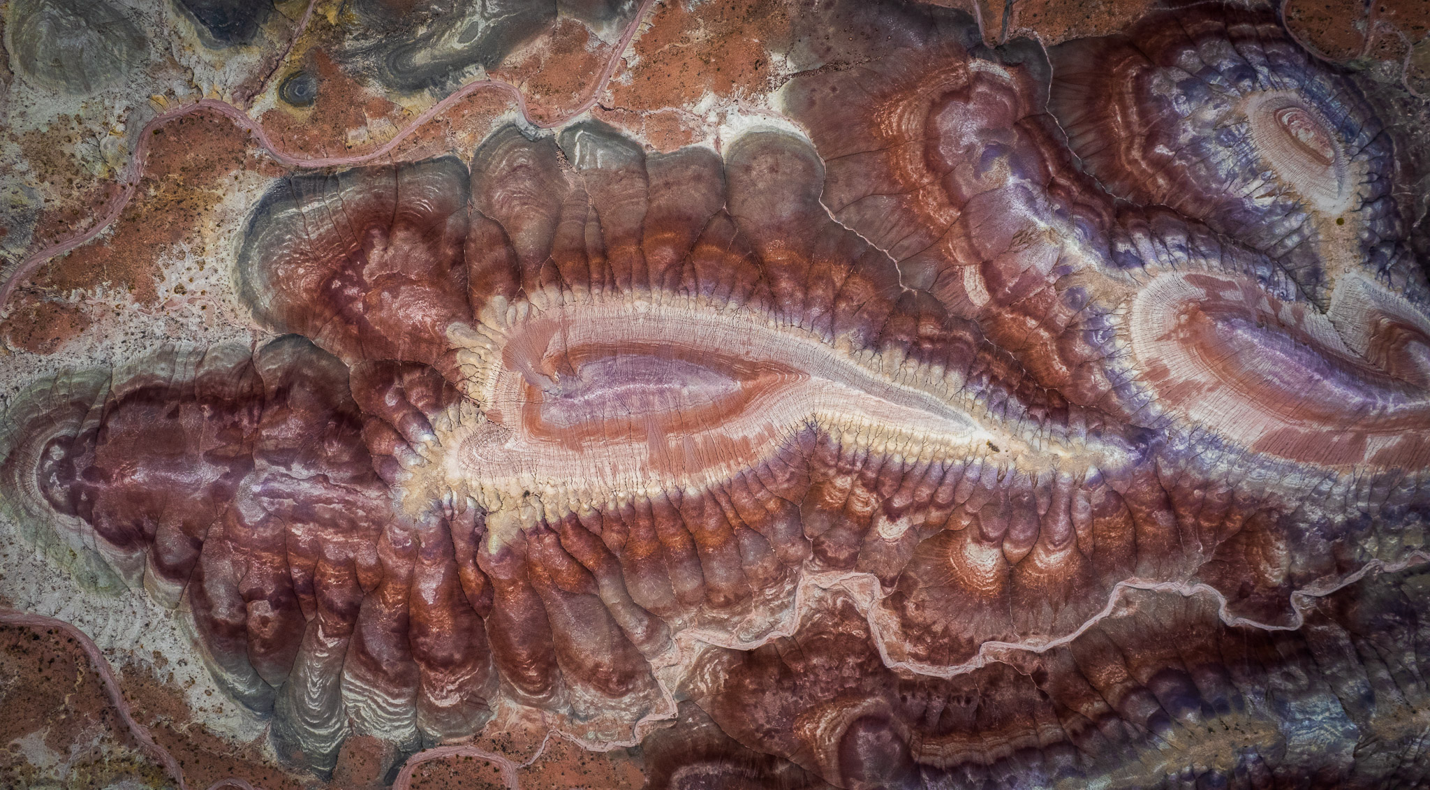 Arizona Painted Desert Abstract