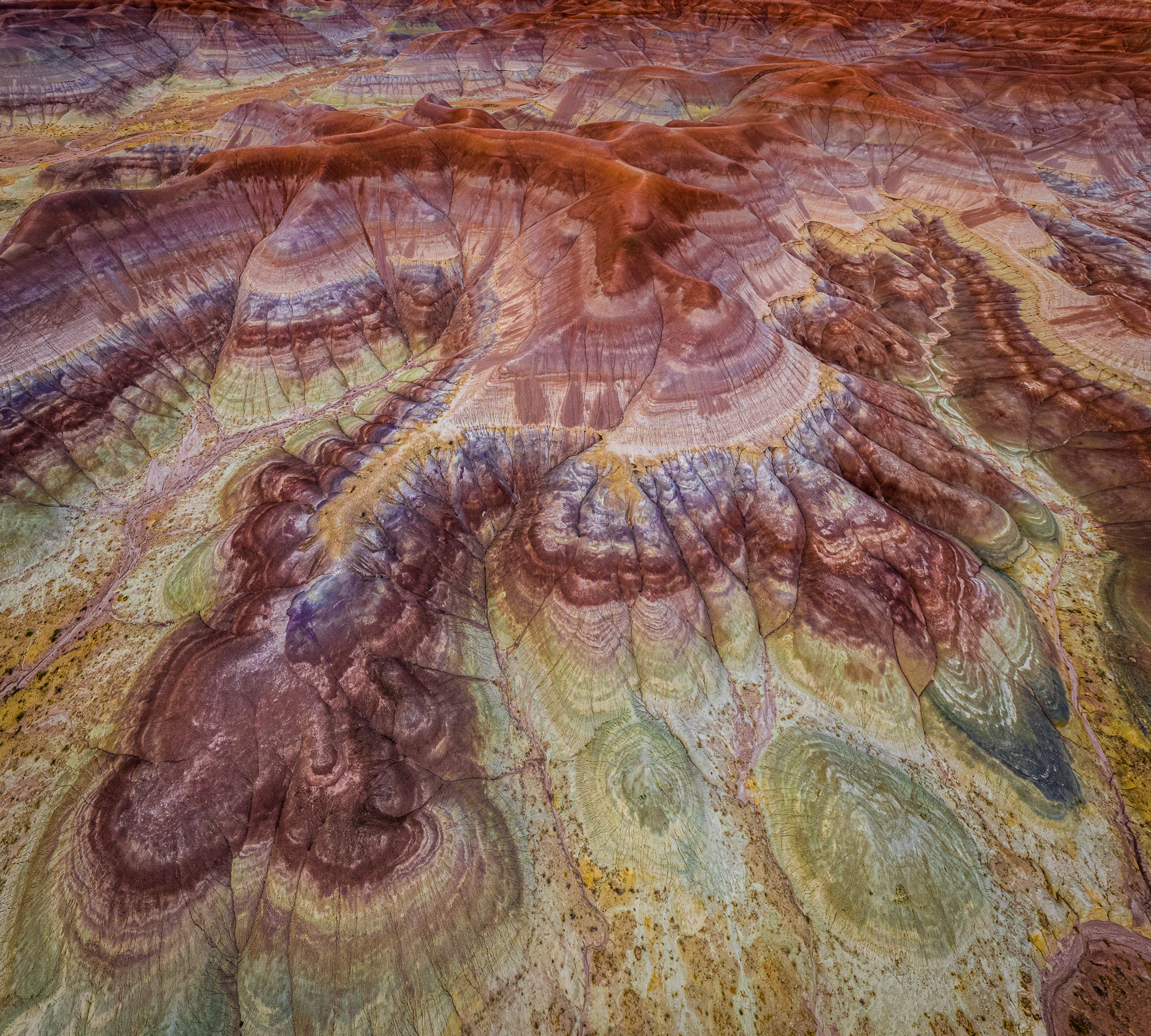 Arizona Painted Desert