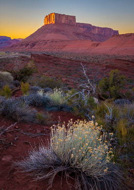 Parriott Mesa