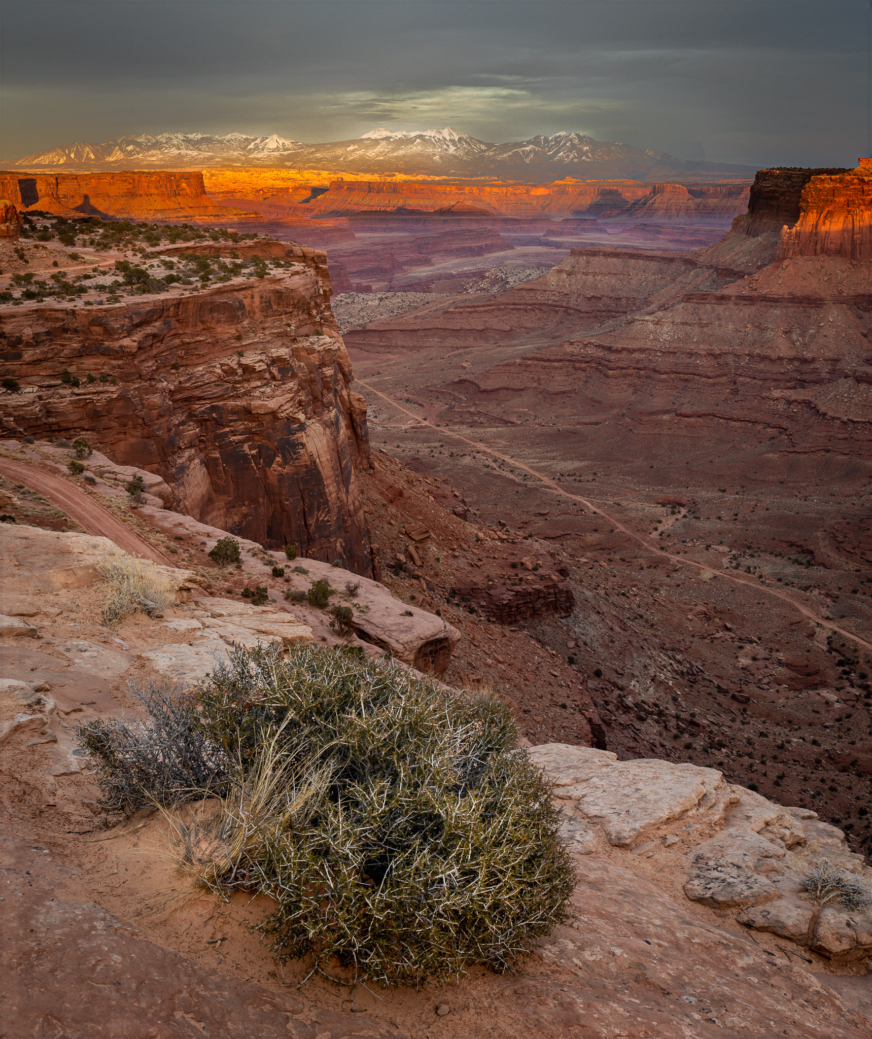 Colorado River Canyon, Shafer Trail & La Sal Mountains from Canyonlands' Island in the Sky