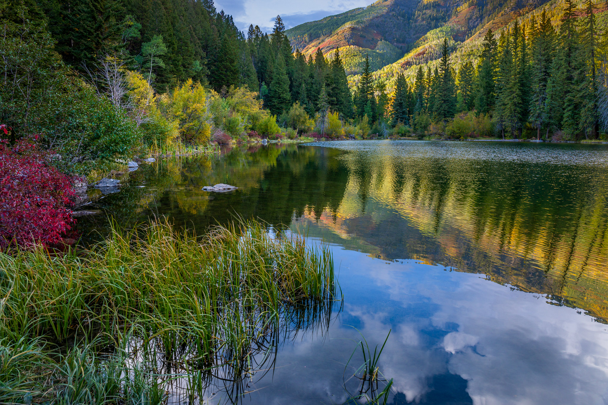 Marble's Lizard Lake