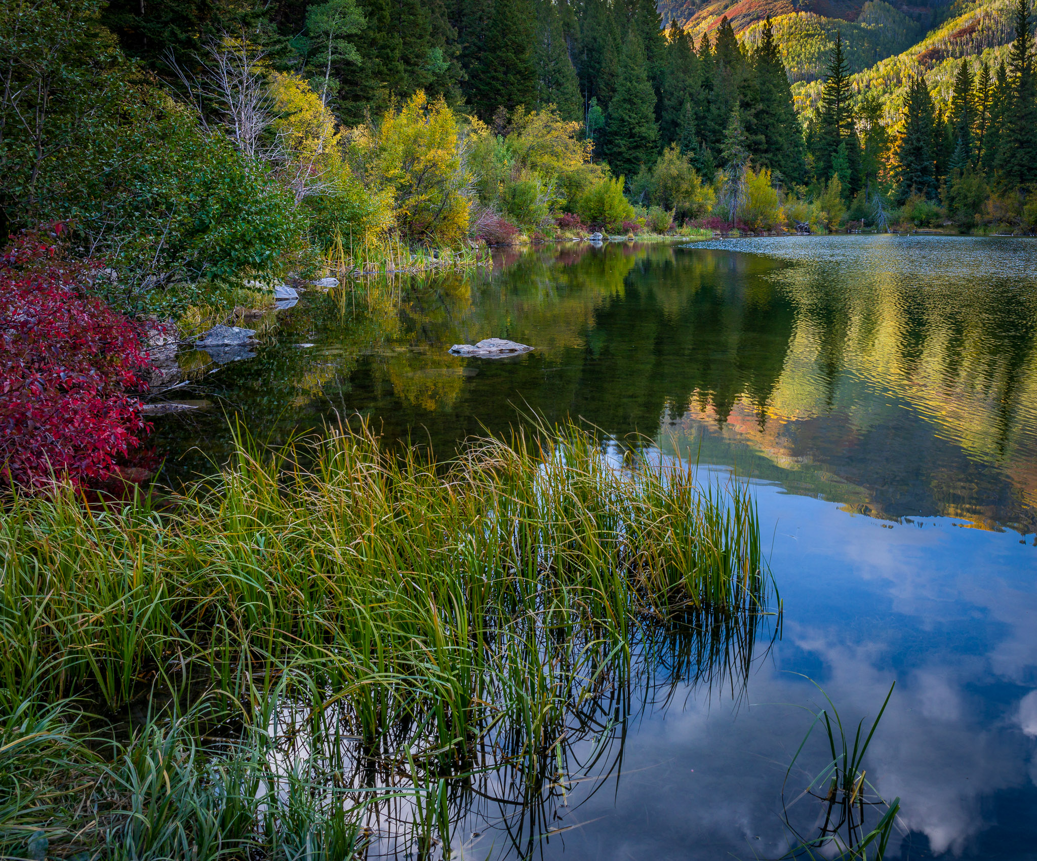 Marble's Lizard Lake