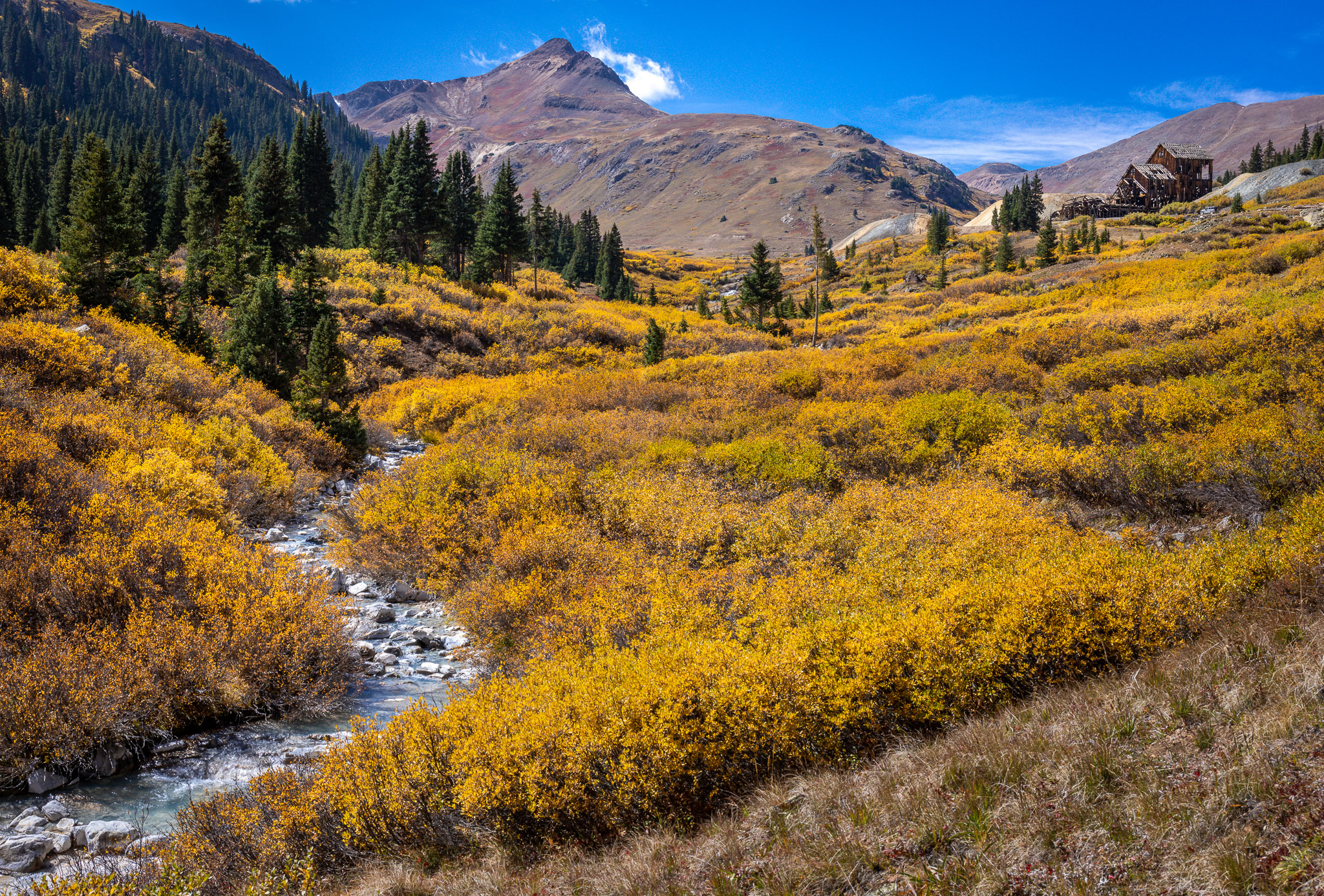 West Fork Animas River, California Gulch & Frisco Mill