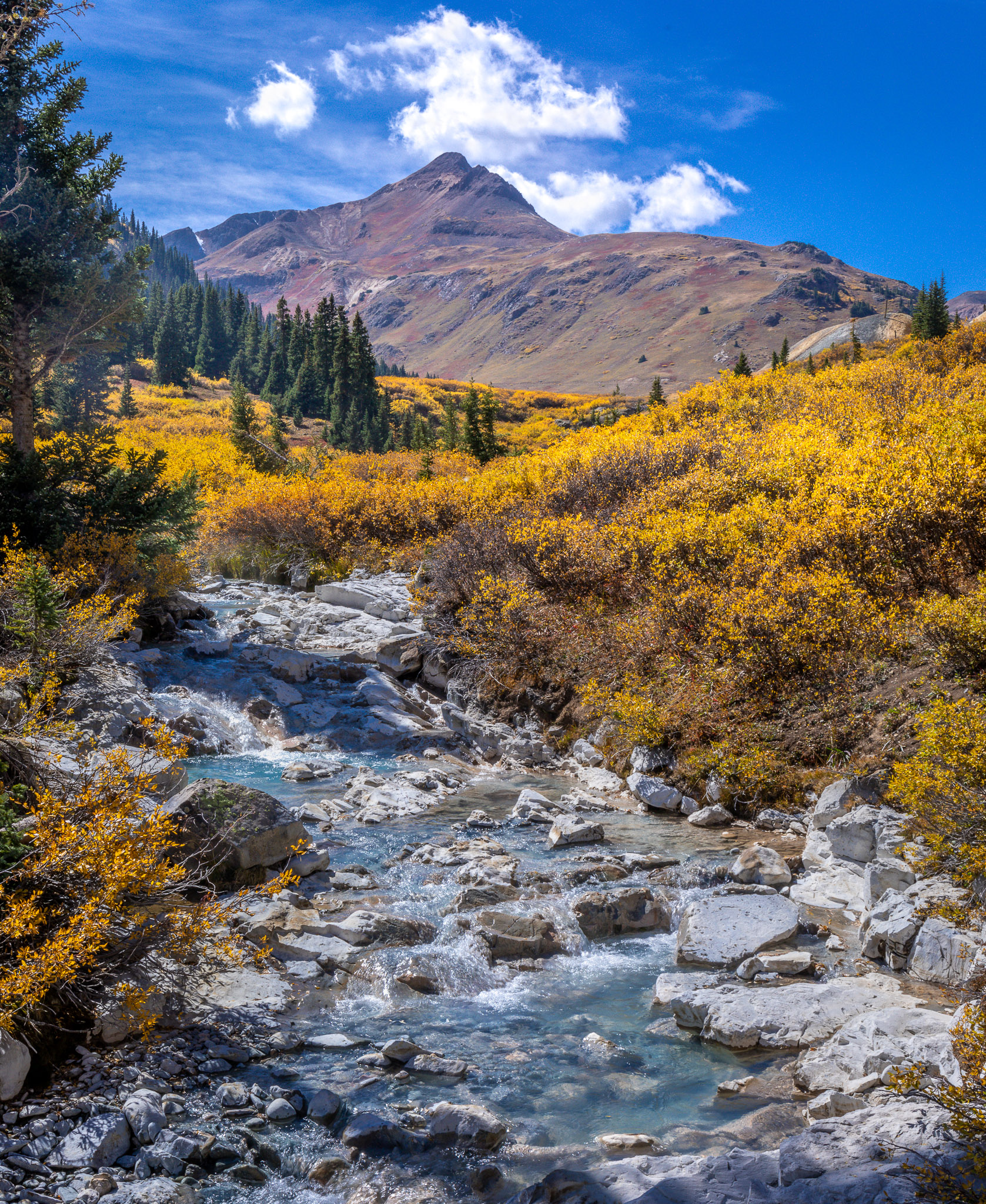 West Fork Animas River, Placer Gulch