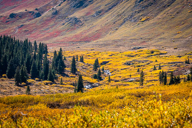 West Fork Animas River, Placer Gulch