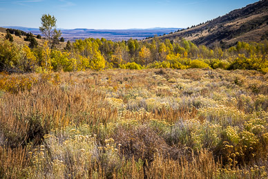 Hart Mountain's Guano Creek Valley