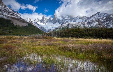 Fitz Roy group