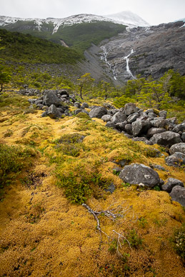 Mossy ridge