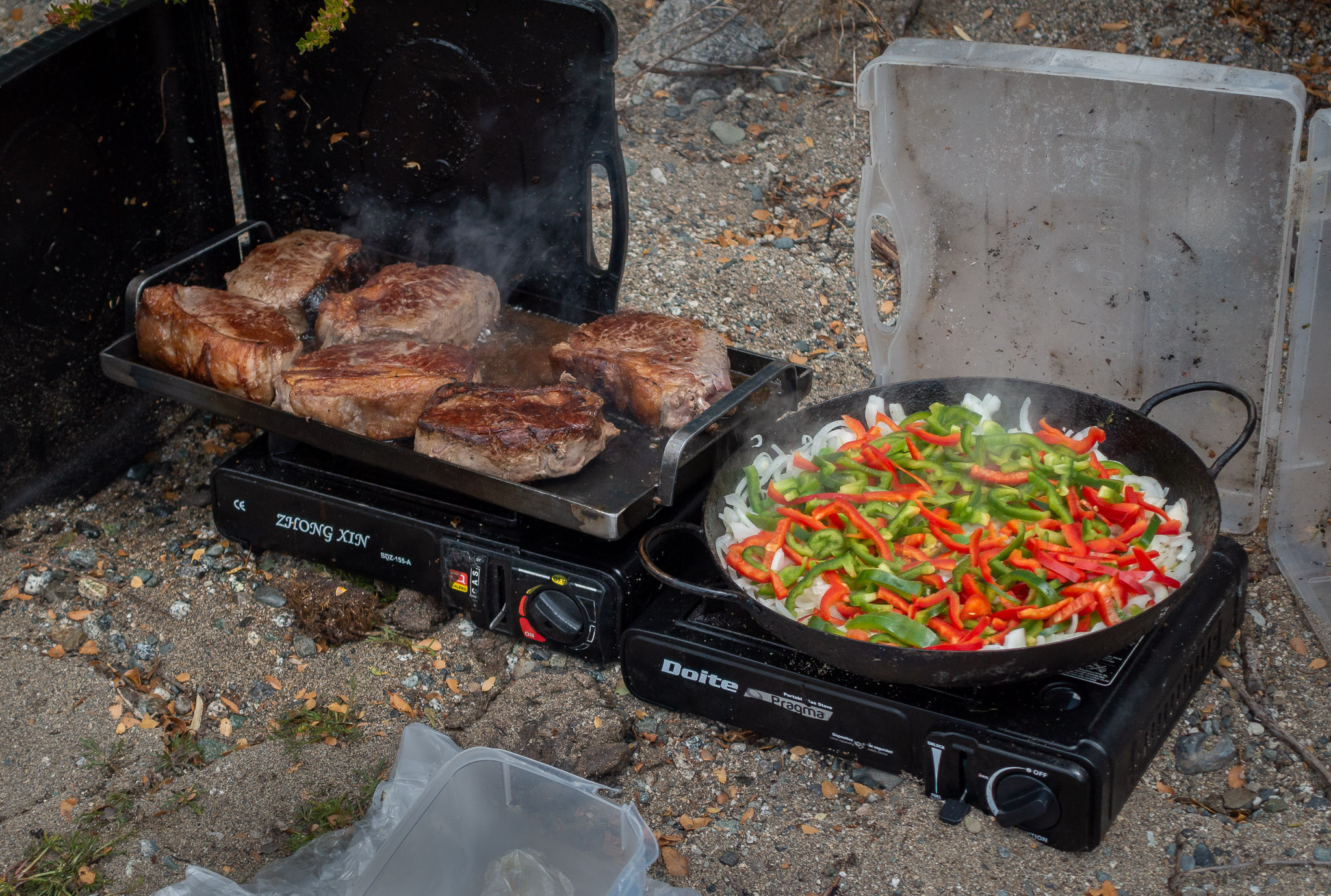 Steak picnic on shore of Lake Masco