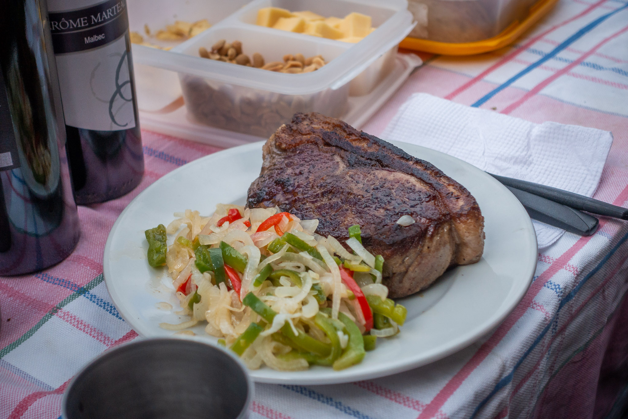 Steak picnic on shore of Lake Masco