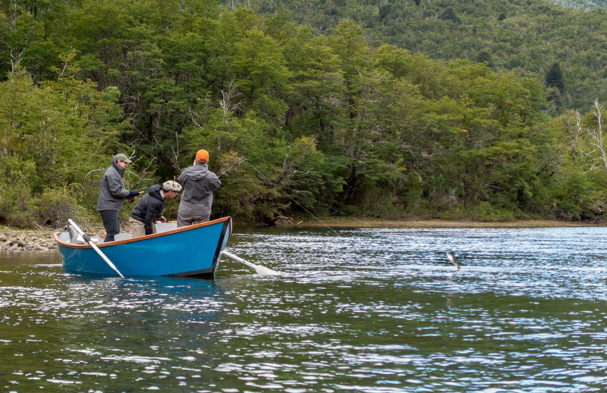 Succcess on the Manso River