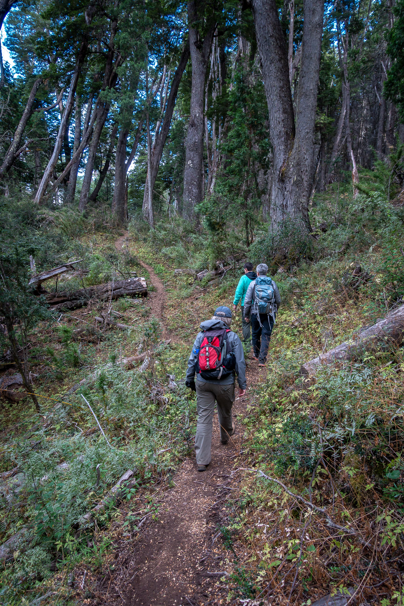 Lake Mascardi hike