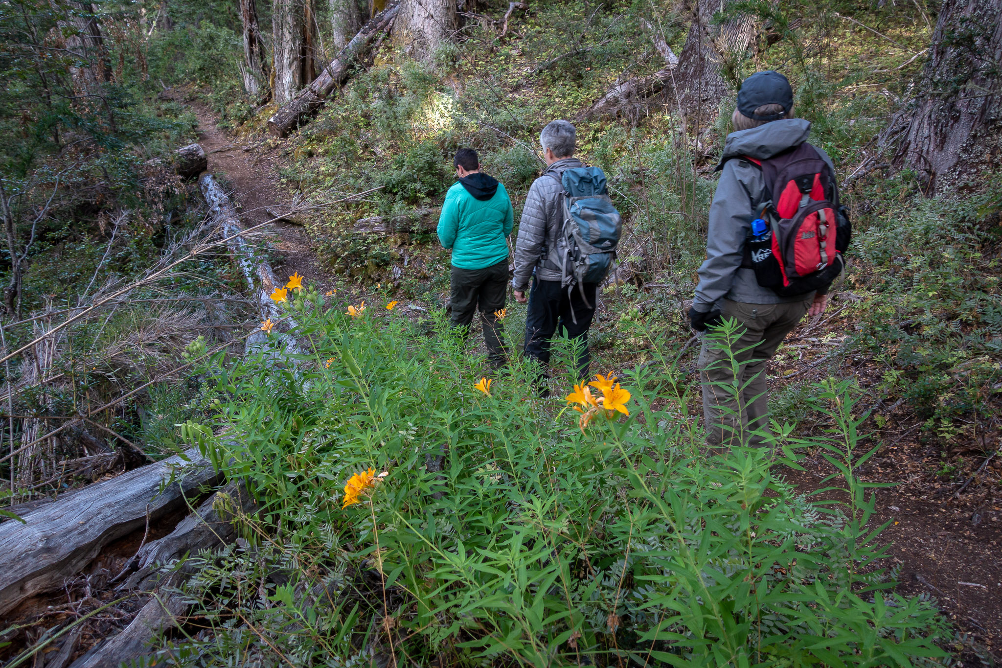 Lake Mascardi hike