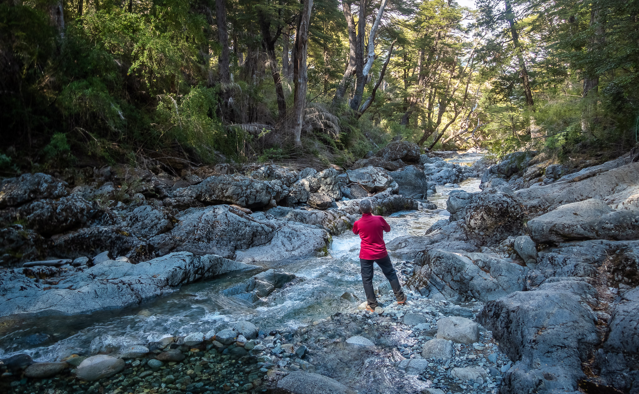 The "Hidden Pools" area