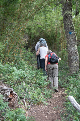 Incredibly steep climb up Diego Flores de Leon Mountain