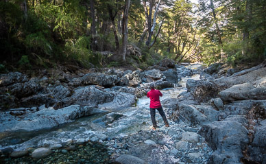 The "Hidden Pools" area