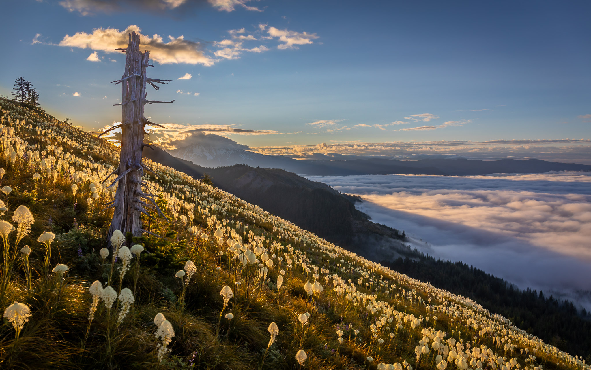 Sunrise on Coffin Mountain