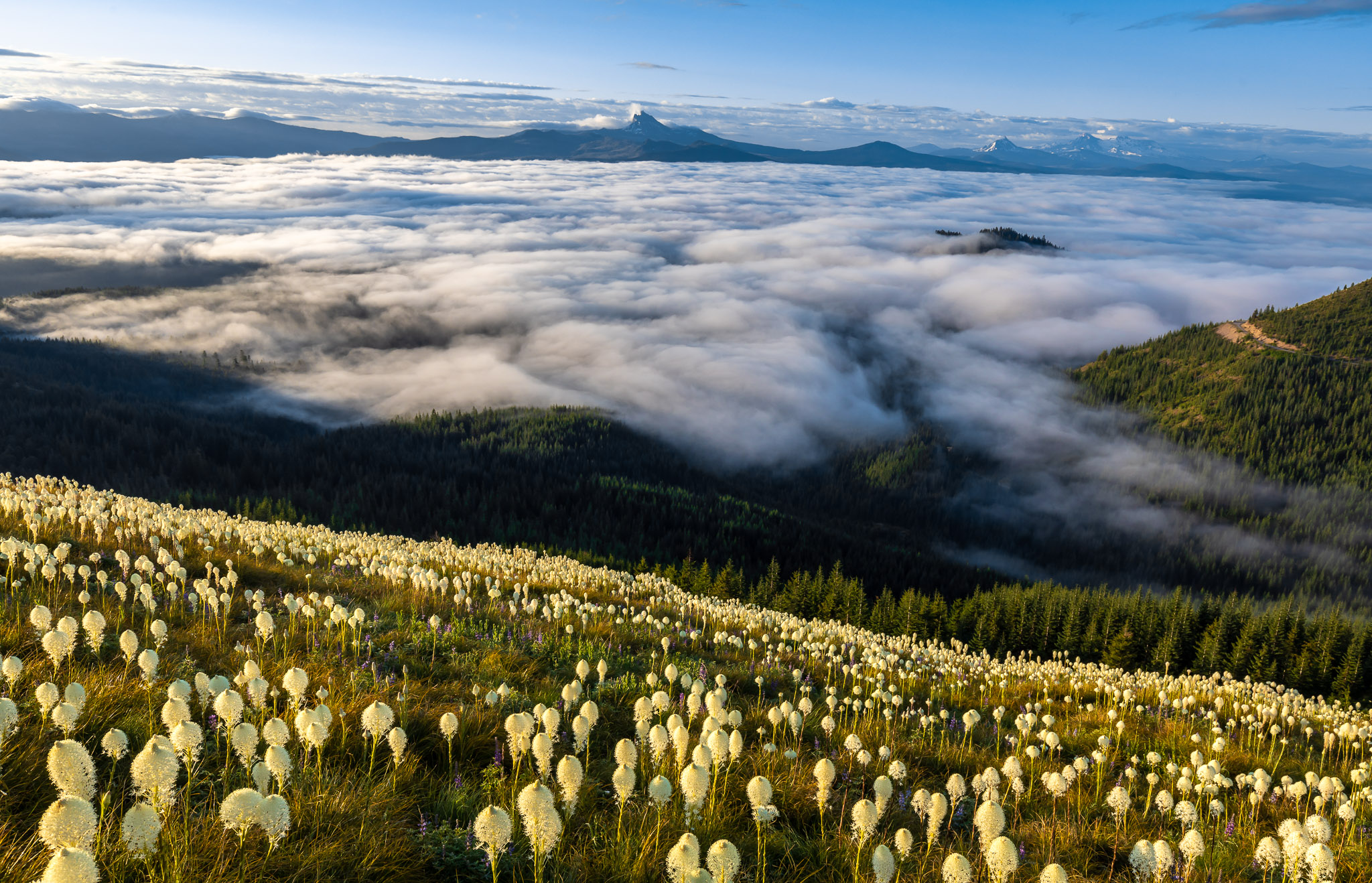 3 Fingered Jack, Mt. Washington & distant 3 Sisters from Coffin Mountain