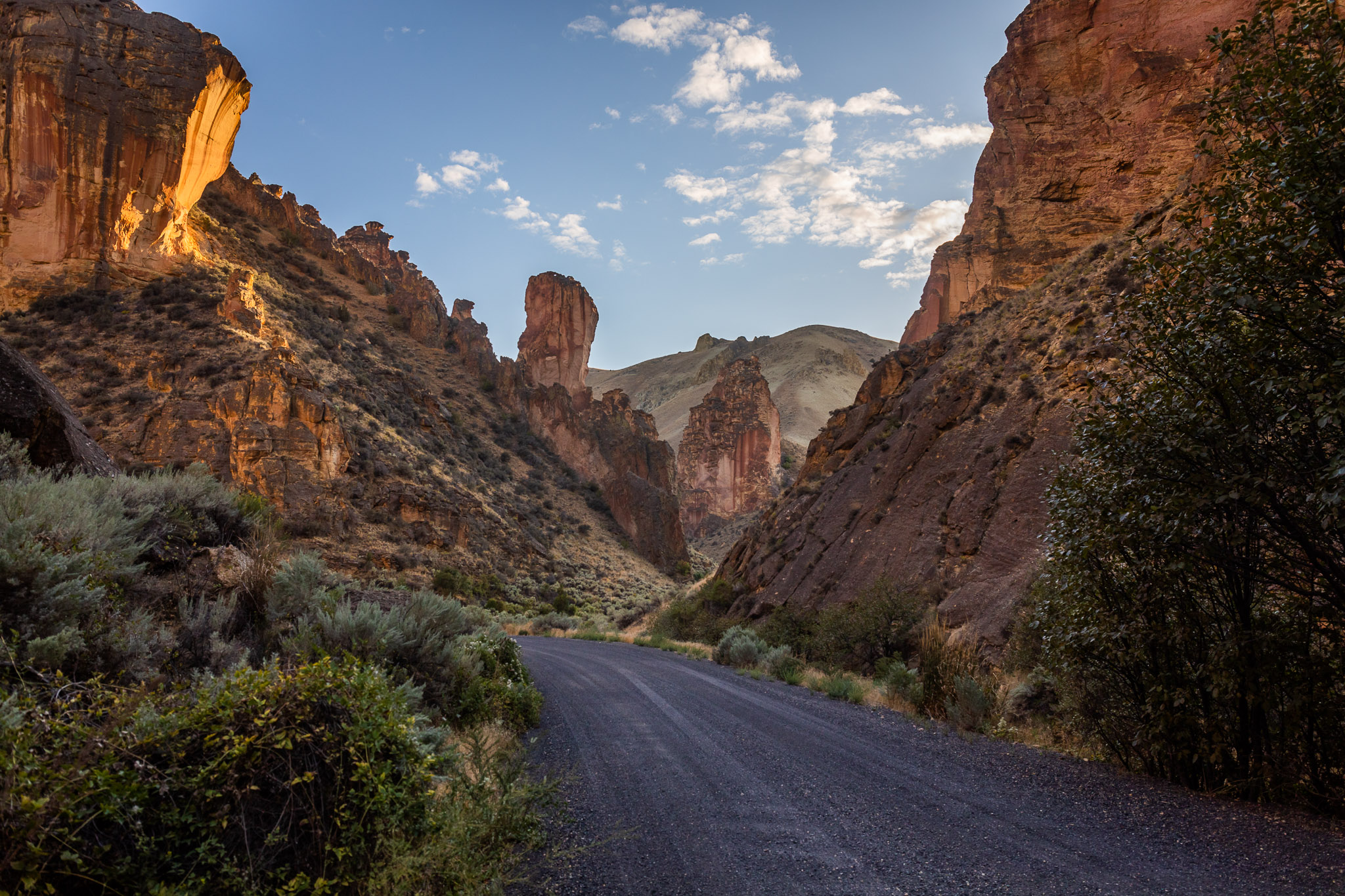 Leslie Gulch