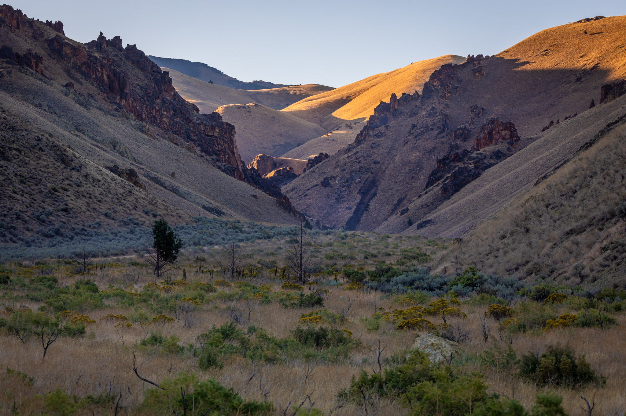 Leslie Gulch