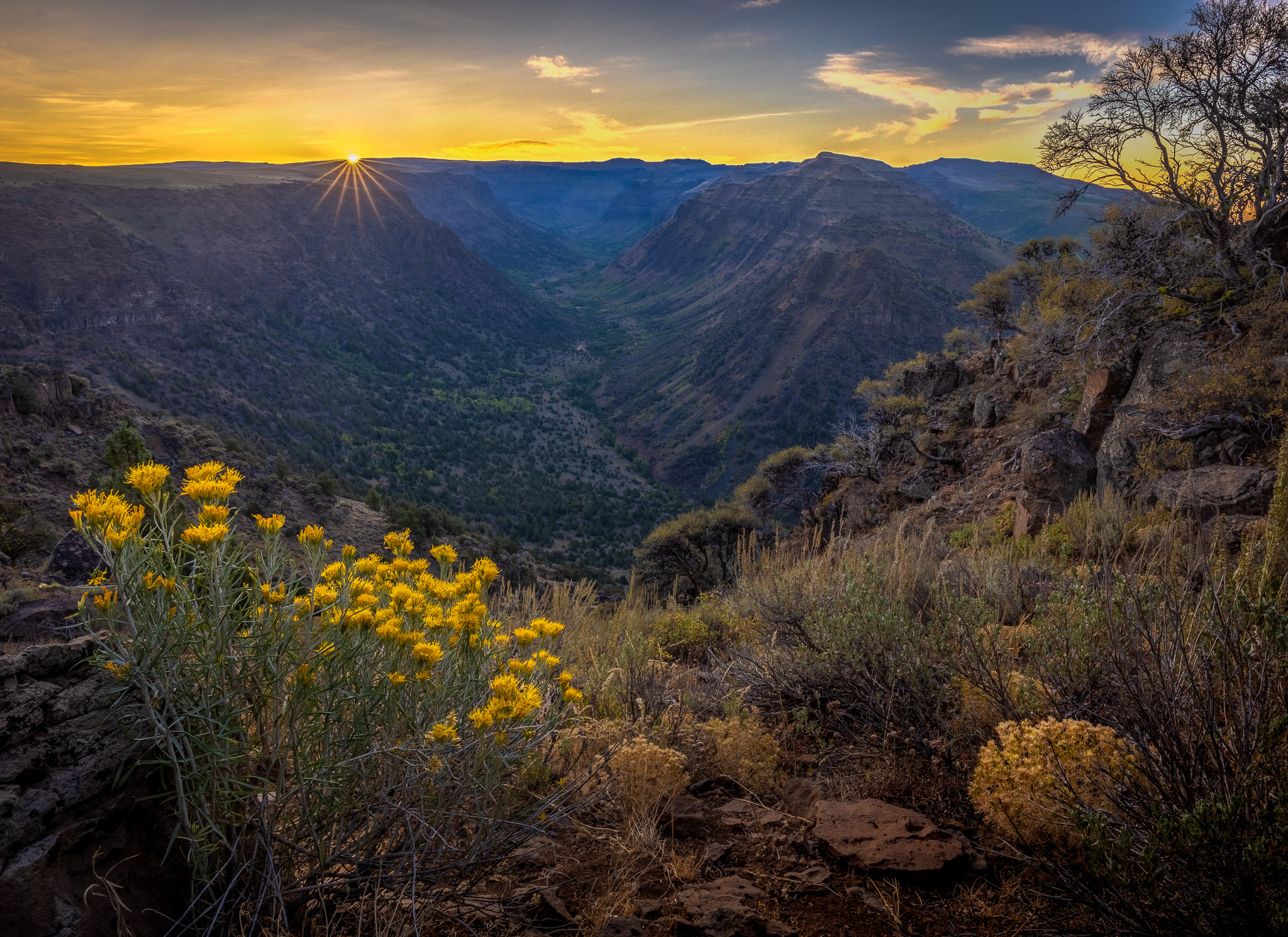 Sunrise over Big Indian Gorge, Steens Mountain