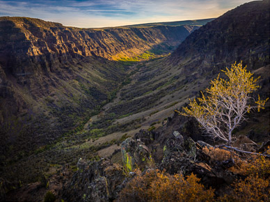 Little Blitzen Gorge, Steens Mountain