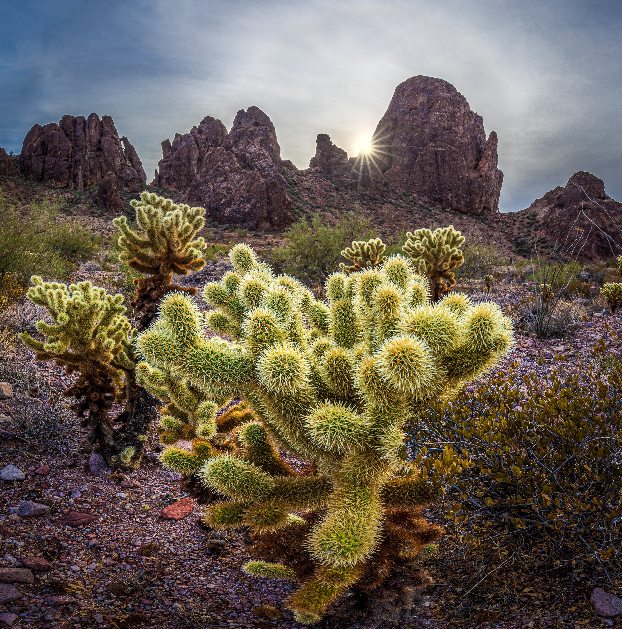 Kofa Queen Canyon, Arizona