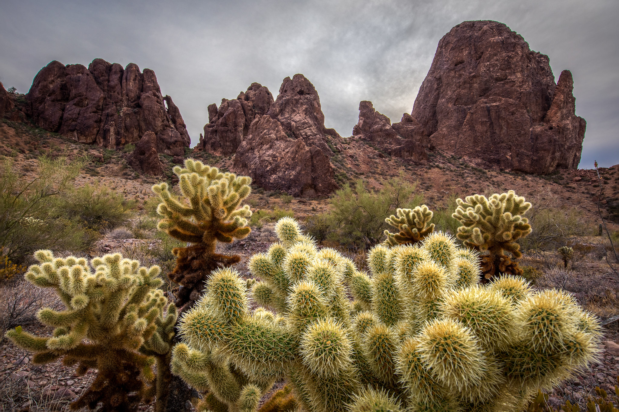 Kofa Queen Canyon