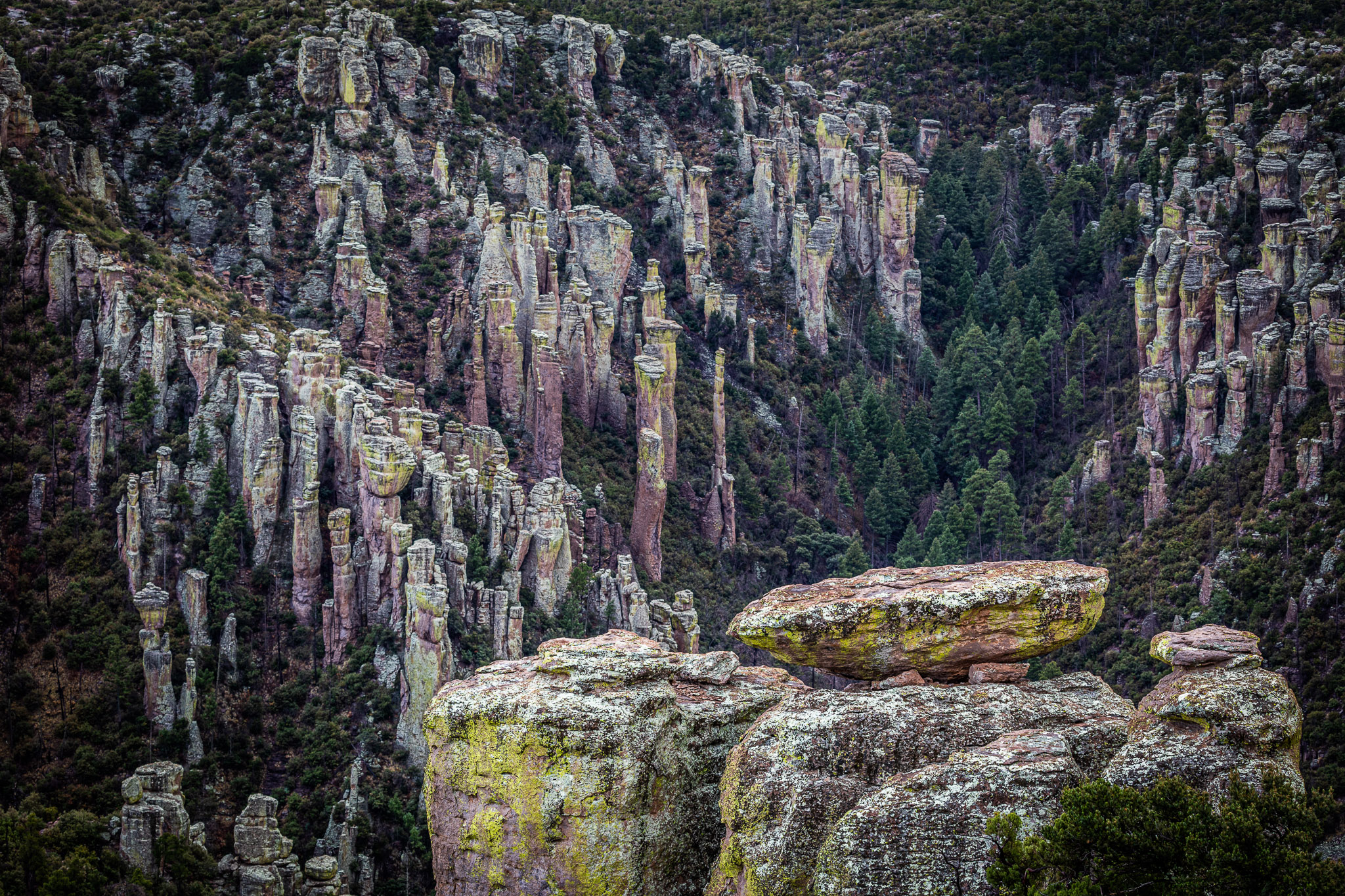 Chiricahua formations