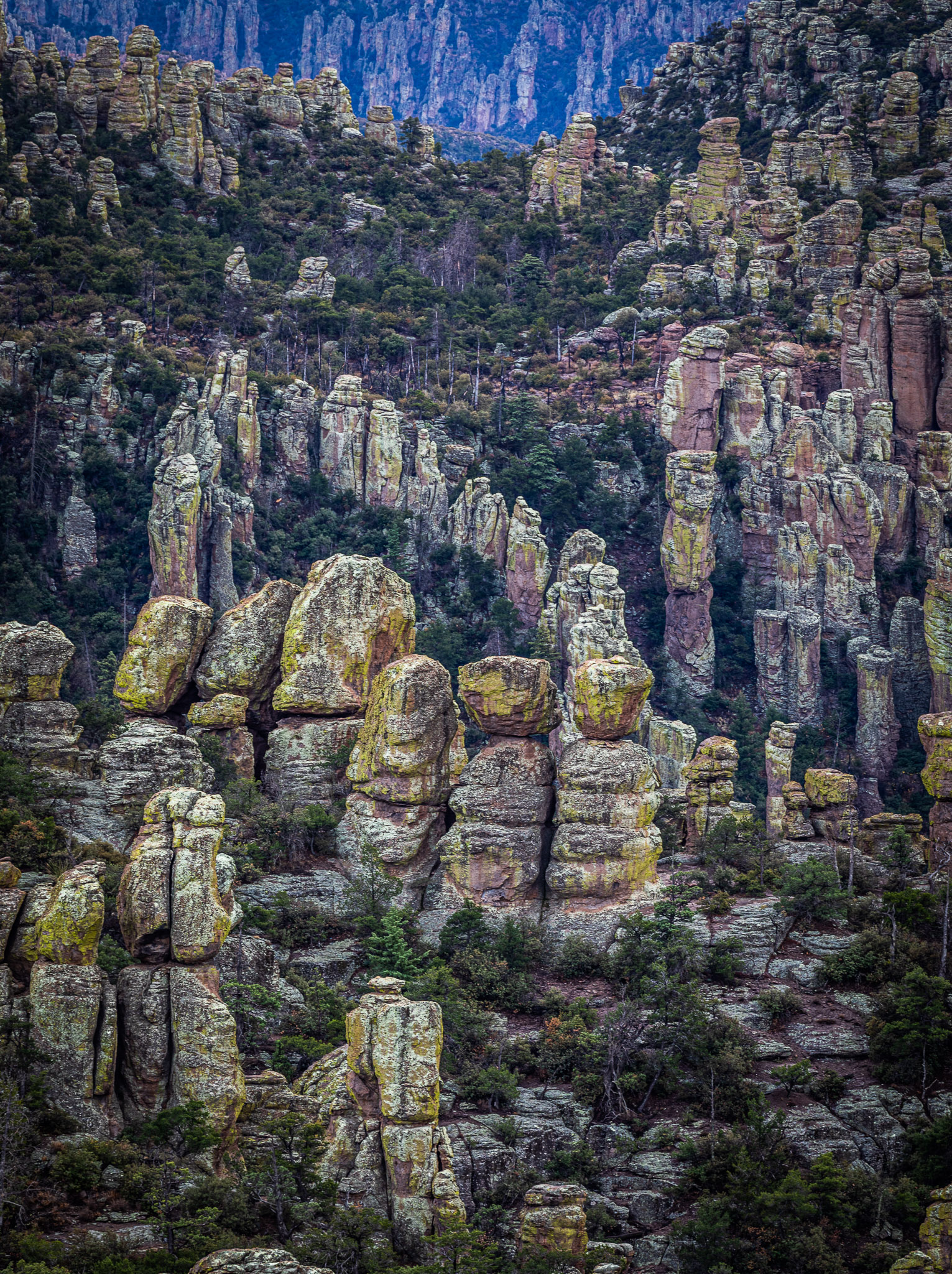 Chiricahua formations