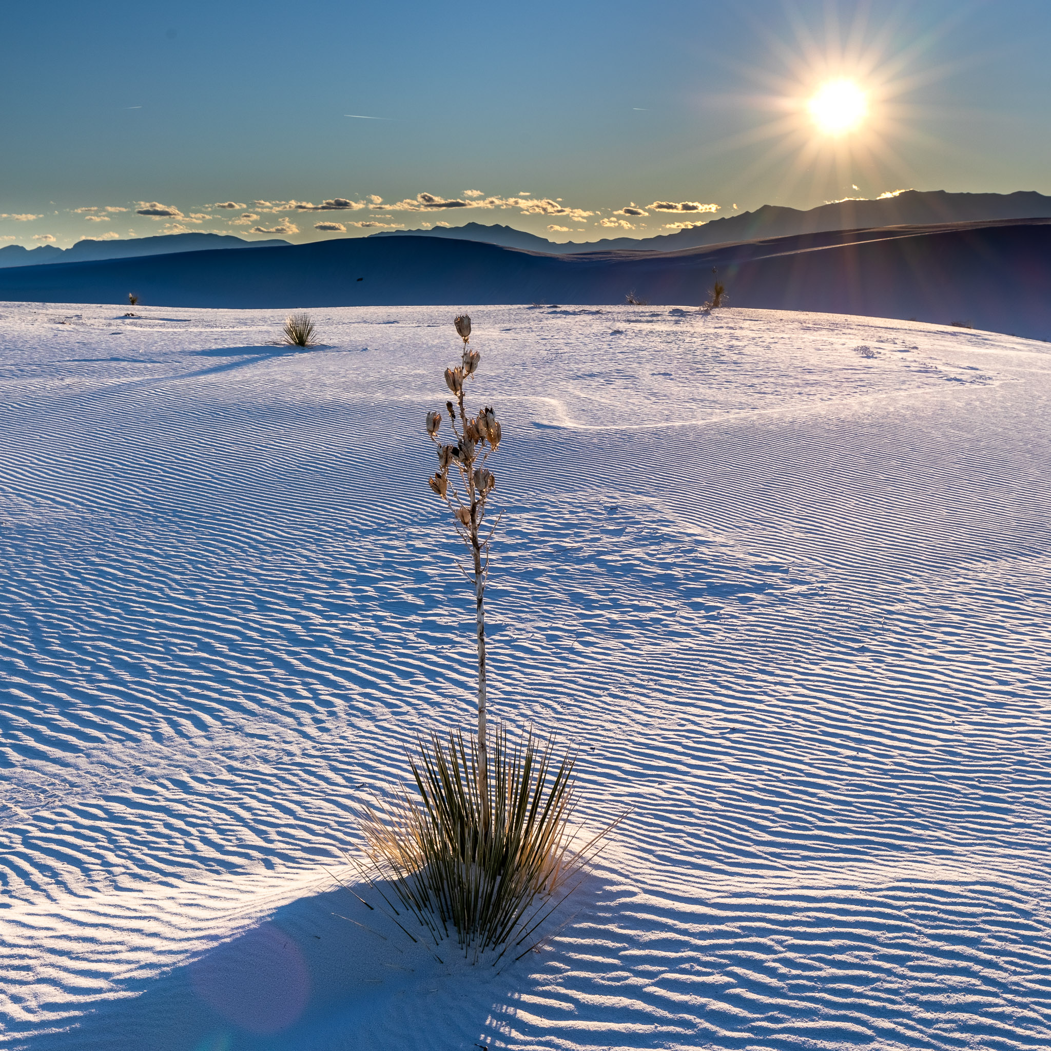 White Sands National Monument