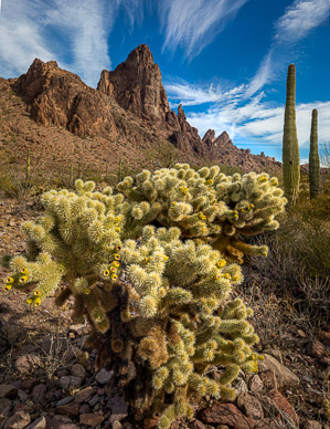 Kofa Queen Canyon