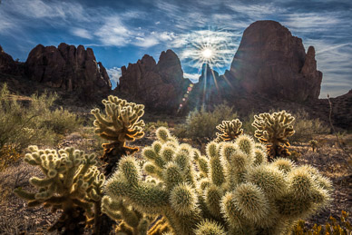 Kofa Queen Canyon