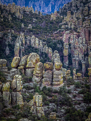 Chiricahua formations