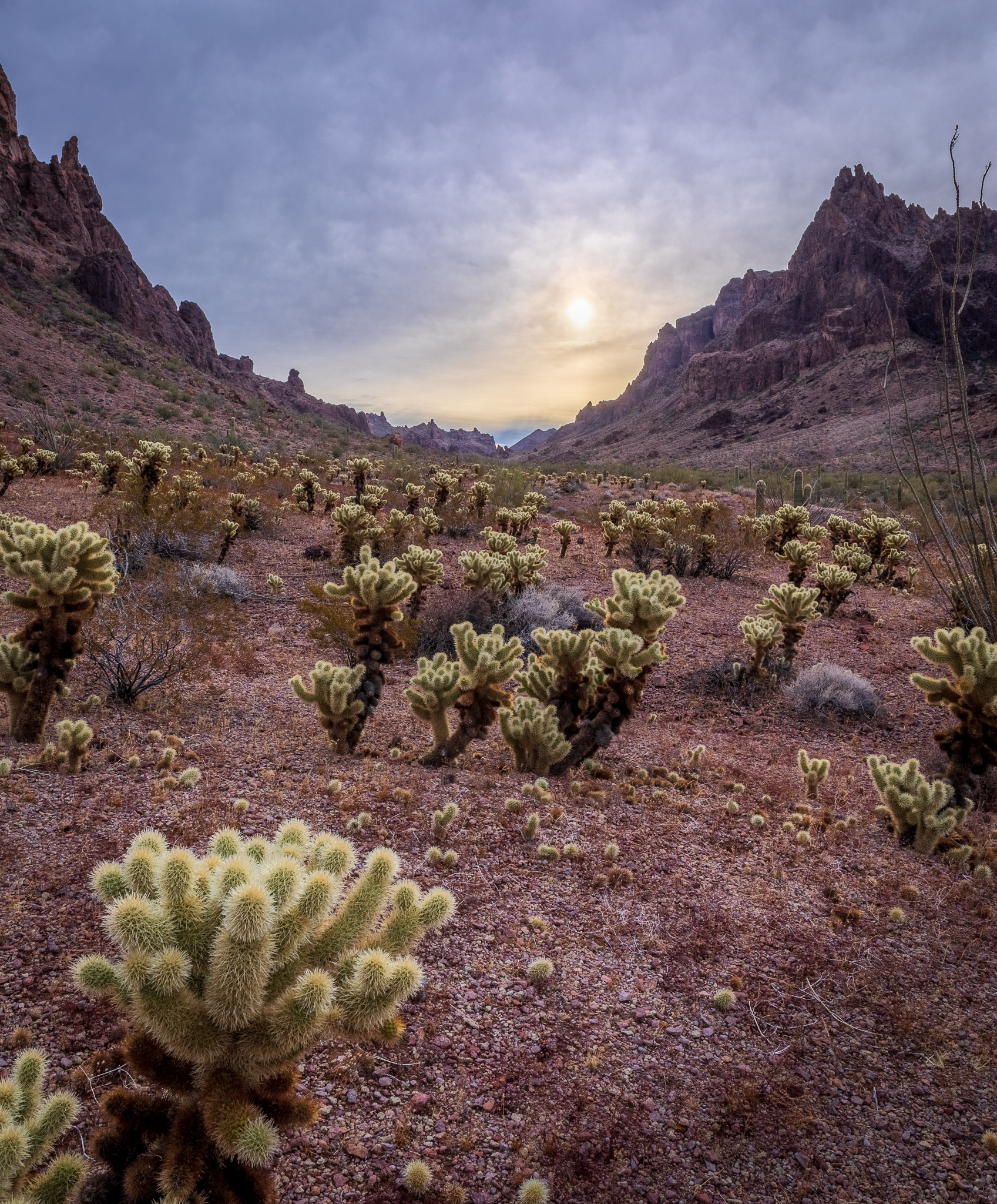 Kofa Queen Canyon