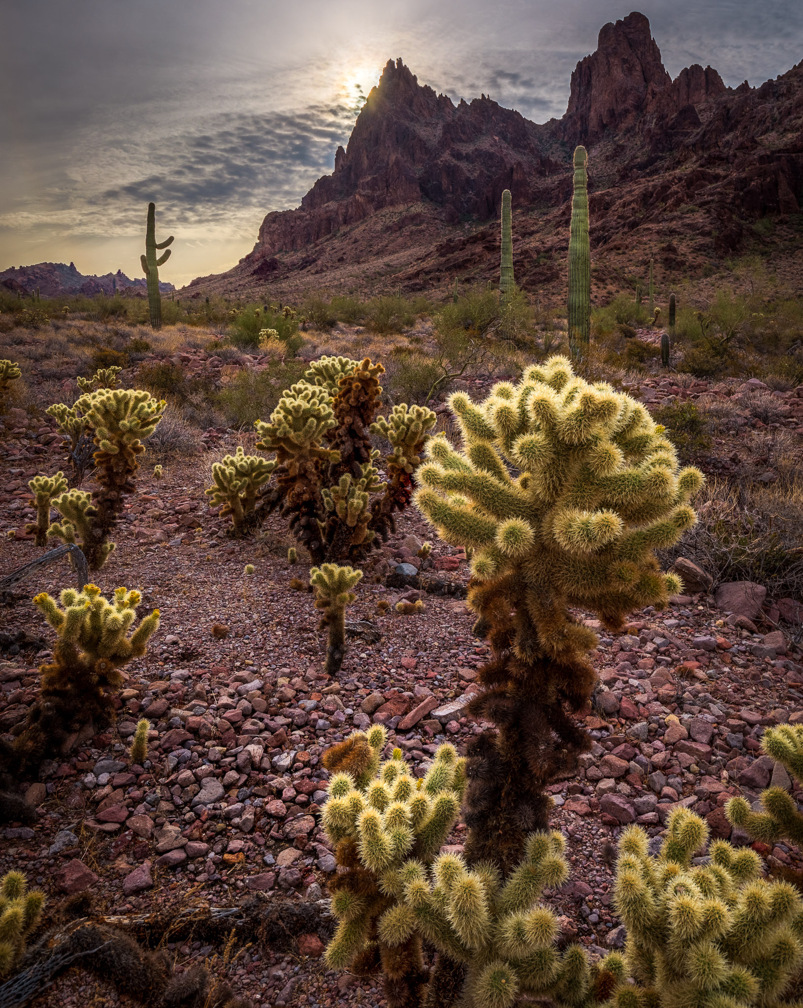 Kofa Queen Canyon