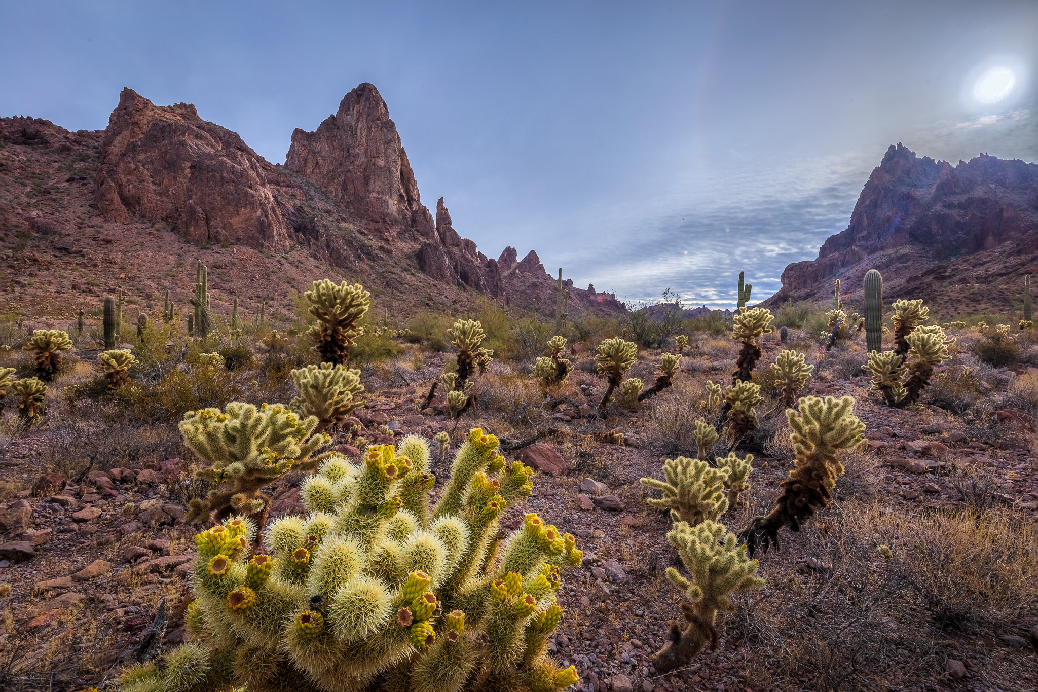 Kofa Queen Canyon