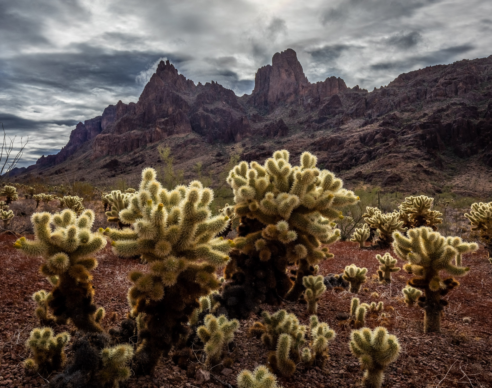 Kofa Queen Canyon