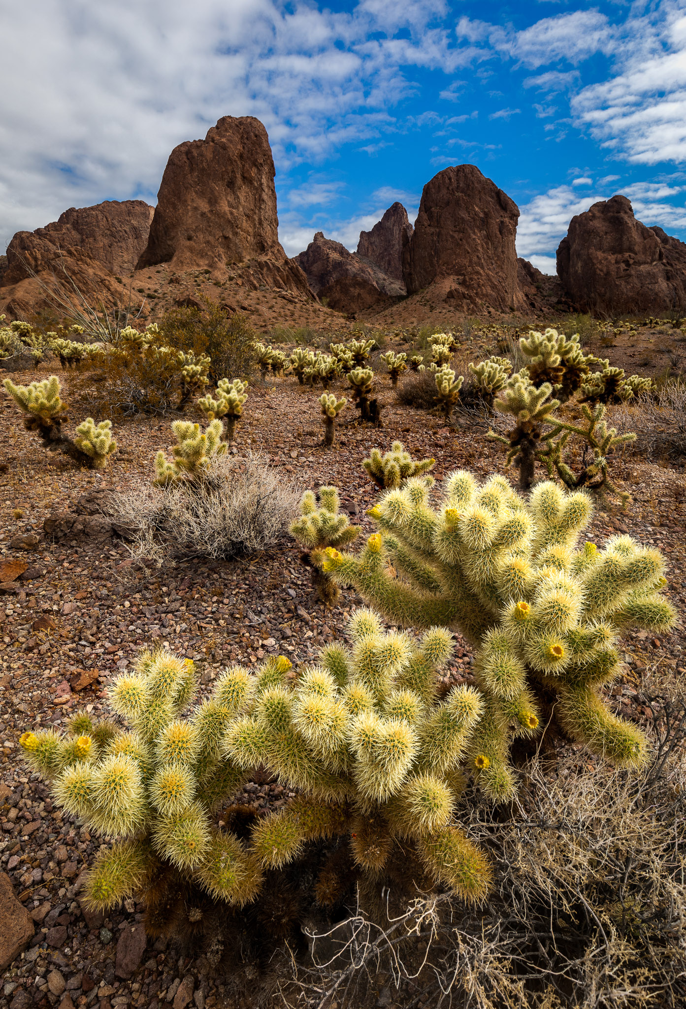 Kofa Mountains