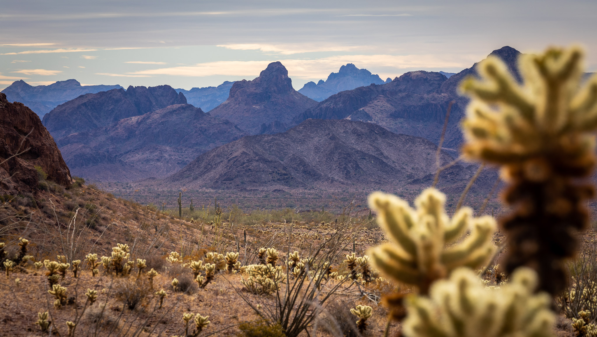 Looking out from Kofa Queen Canyon's entrance