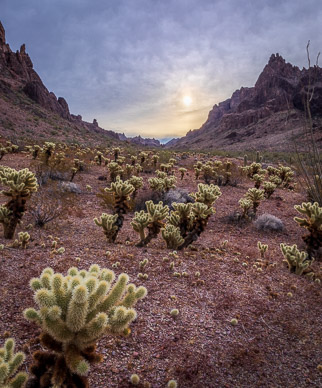 Kofa Queen Canyon