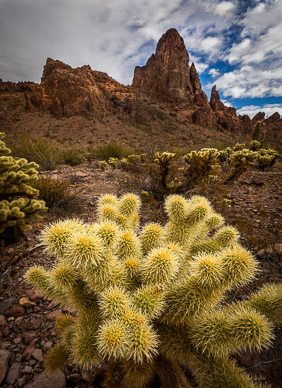 Kofa Queen Canyon