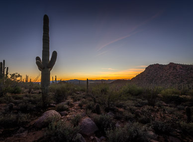 Saguaro National Park, West